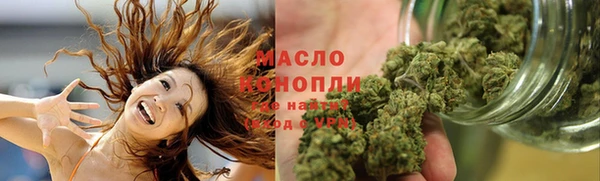 прущие грибы Осташков