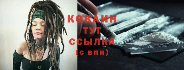 сатива Весьегонск