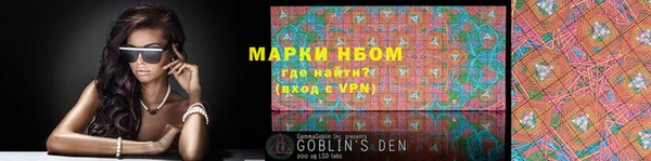 прущие грибы Осташков
