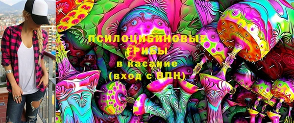 прущие грибы Осташков