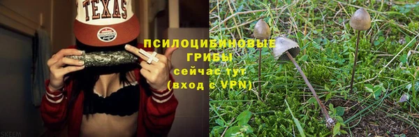 прущие грибы Осташков