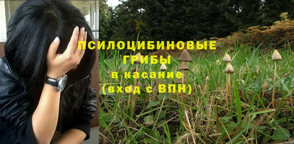 ALPHA-PVP Осинники