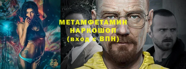 прущие грибы Осташков