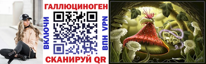 Псилоцибиновые грибы MAGIC MUSHROOMS  наркота  Камень-на-Оби 