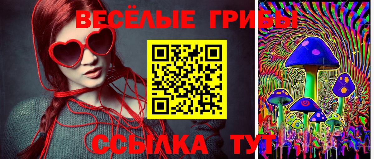 Галлюциногенные грибы MAGIC MUSHROOMS Камень-на-Оби