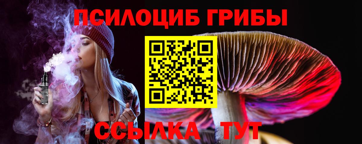 Галлюциногенные грибы прущие грибы  Камень-на-Оби 