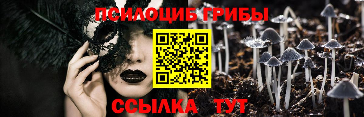 где можно купить наркотик  Псилоцибиновые грибы Magic Shrooms  Вход с VPN  Галлюциногенные грибы ЛСД  Камень-на-Оби 