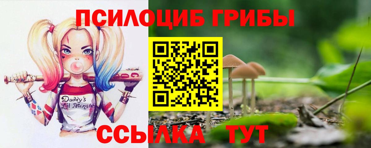 Псилоцибиновые грибы Psilocybine cubensis Камень-на-Оби