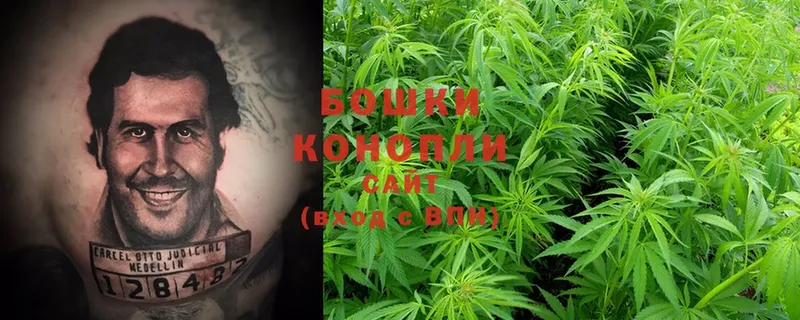 Каннабис SATIVA & INDICA  Камень-на-Оби 